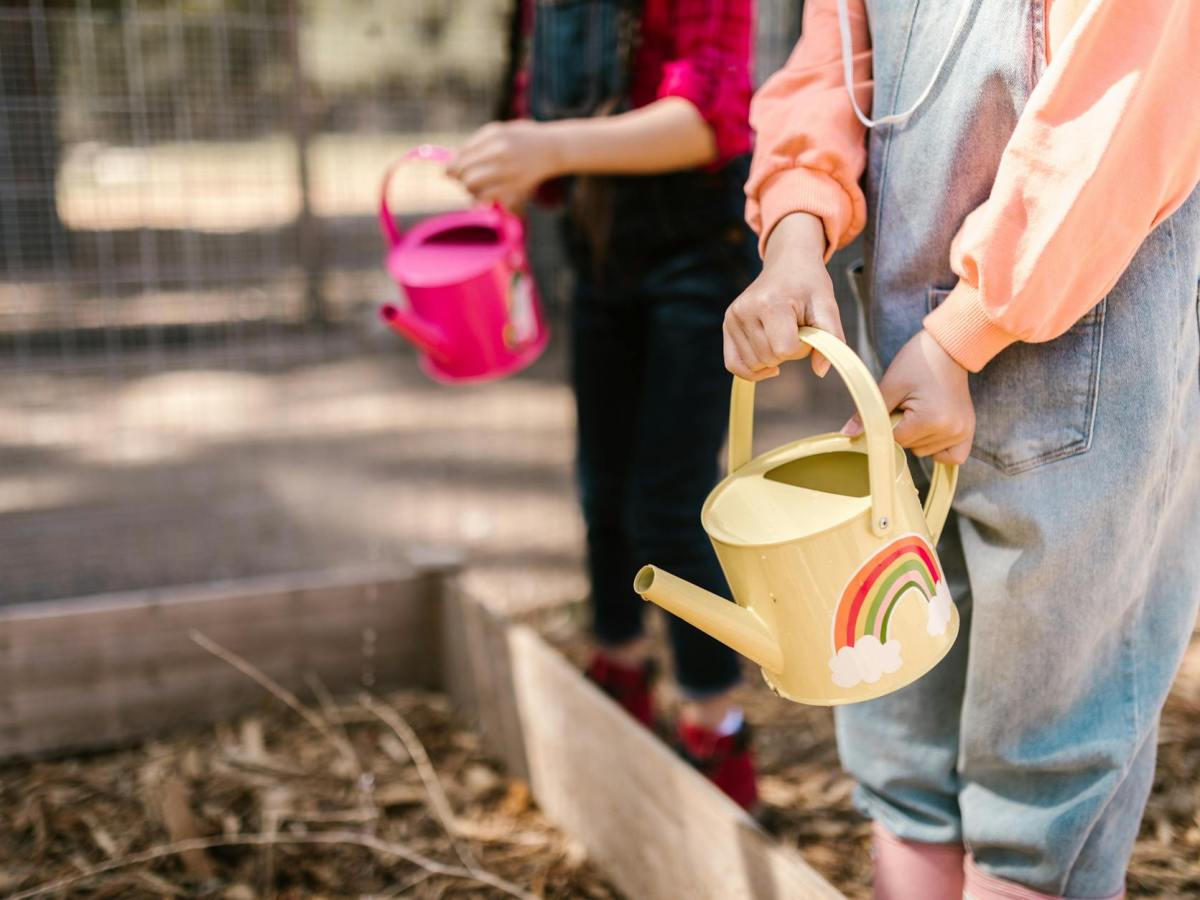 Homesteading Where You Are: Simple Ways to Begin on Any Size&nbsp;Property